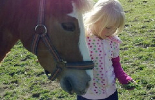 kinderreitkurse.at
