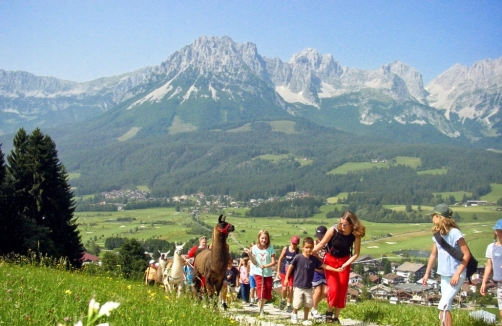 Lamatrekking am Koglhof in Ellmau