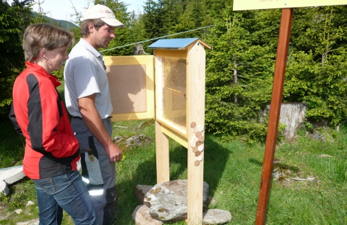 Bienenthemenweg Ochsengarten