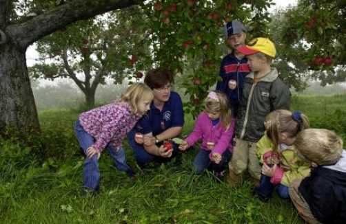 Reise durch das Apfeljahr im Naturpark Raab