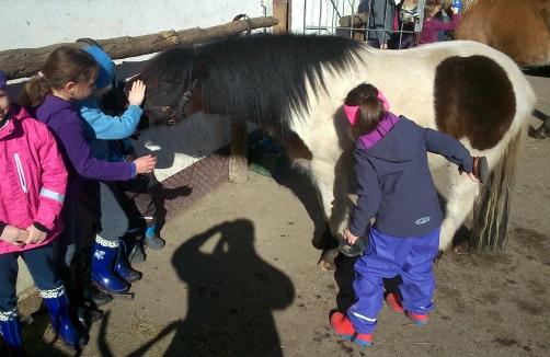 Kindergeburtstagsfeier im Reitstall