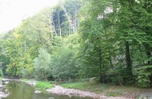 purkersdorf.at