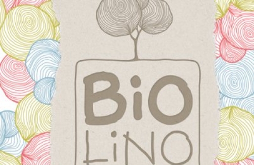 Instrumenten-Werkstatt im Biolino Wien