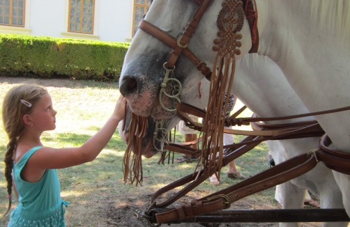 Lipizzaner & Friends in Halbturn