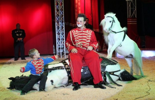 Zirkus Frankello in Leoben