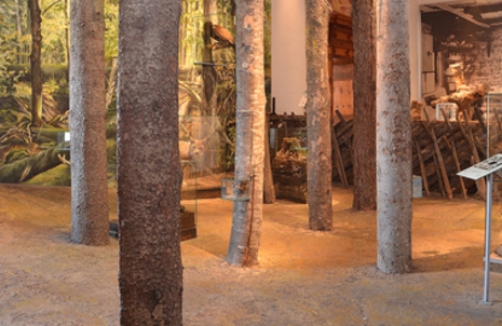 Waldfragen in Schloss Trautenfels