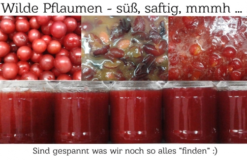 Eine kulinarische Reise nach Graz