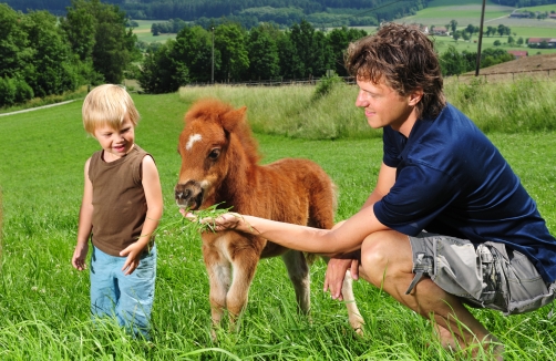 Waldviertel Tourismus, Robert Herbst - Familienurlaub am Bauernhof im Waldviertel