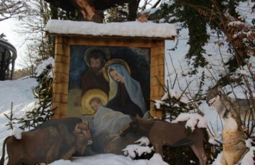 Tag des Artenschutzes im Alpenzoo Innsbruck