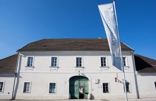 stadtmuseum.wiener-neustadt.at