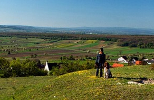 Geburtstagfeiern im Naturpark Neusiedler See