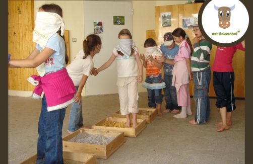 Kindergeburtstag am Bauernhof