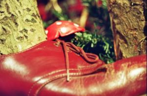 Ein Baum geht durch den Wald in Seekirchen