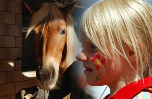 Kindergeburtstag  Salitererhof