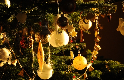 Advent in der Albertina 