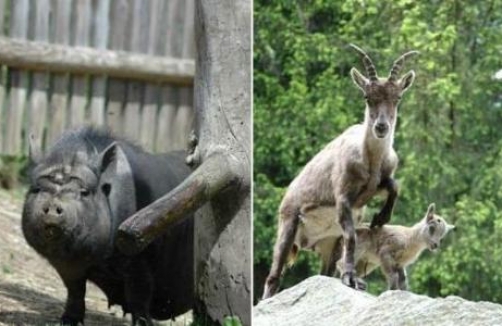 erlebniswelt-assling.at