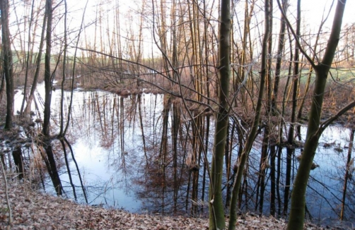 Gletscherrandweg