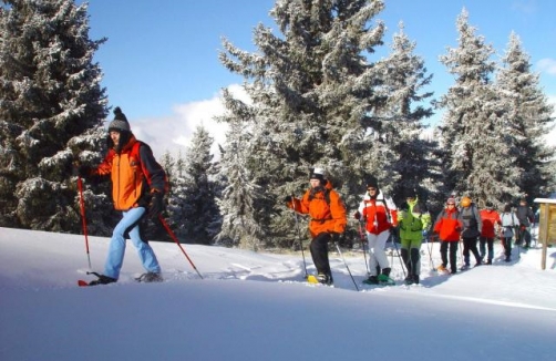 Schneeschuhwanderung am Glasenberg