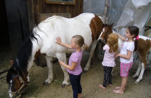 Kindergeburtstag auf Gerdas Pferdehof