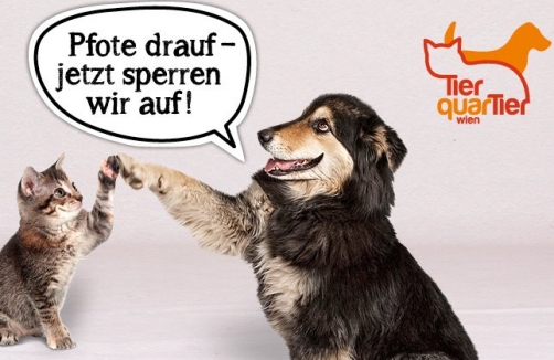 Tag der offenen Tür im neuen TierQuarTier Wien