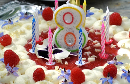 Gartengeburtstag auf der Cityfarm Schönbrunn