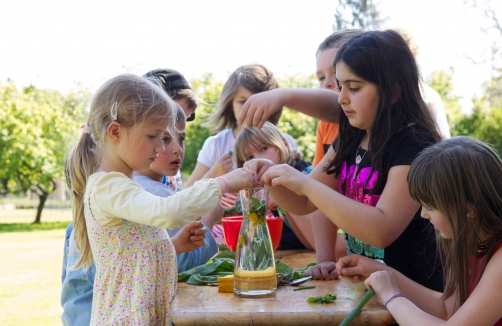 Gartengeburtstag auf der Cityfarm Schönbrunn