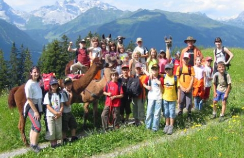 Lama-Trekking im Montafon 