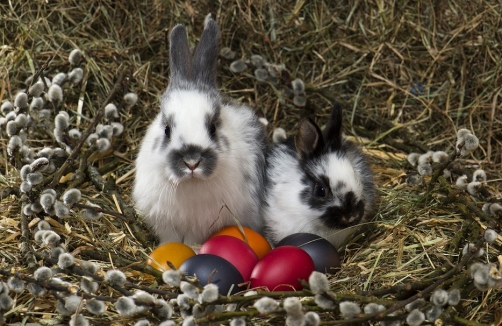 Osterfest im Schönbrunner Tiergarten