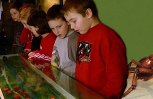 Nachts im Museum im Haus der Natur Salzburg