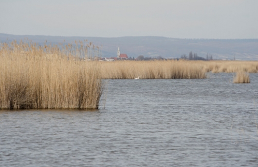 Naturspaziergang in Mörbisch am See
