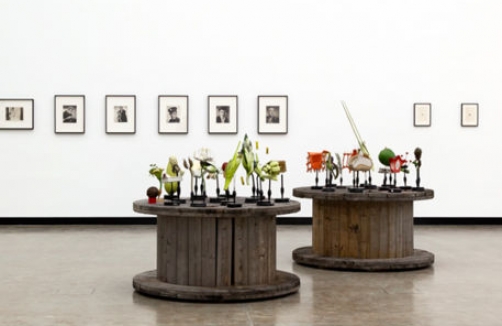 Sammelsurium in der Kunsthalle Wien