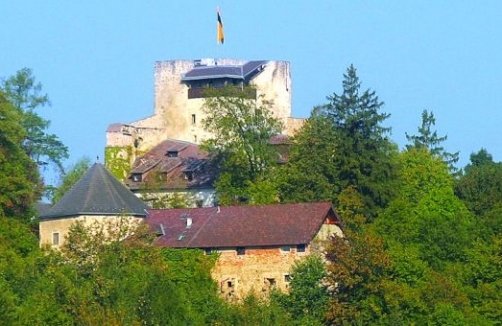 burg-kreuzen.at