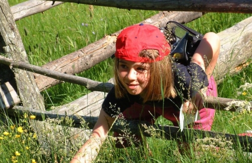 Naturkundliche Wanderung im Maltatal