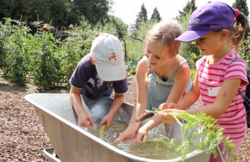 Gartenspaßwoche in der City Farm Schönbrunn