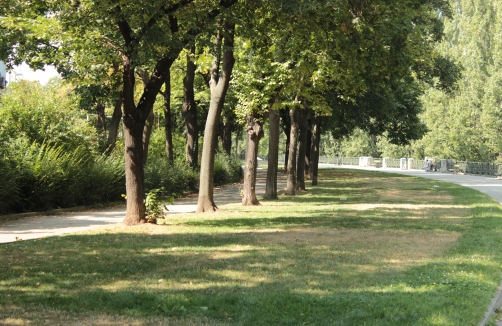 Diana-Budisavljevic-Park