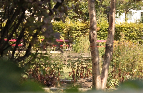 Spielplatz im Tigerpark