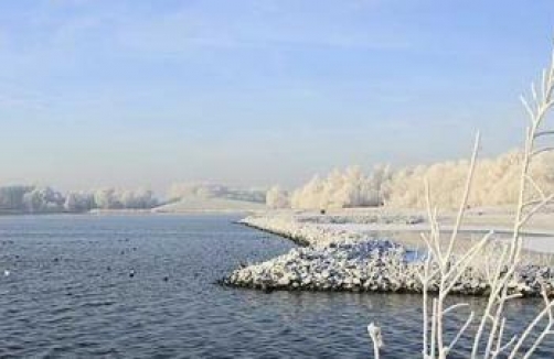 Die winterliche Pfänderbahn