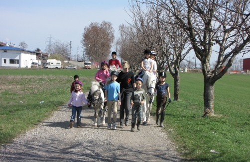 Kindergeburtstag in Sabines Pferdewelt