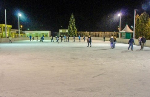 fzz-perchtoldsdorf.at/de/eisarena