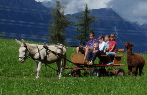 "Esel und Ponyreiten" im Wirtshaus Nattererboden 