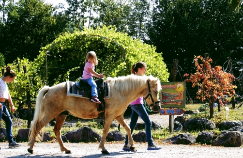 Familienpark Agrarium in Steinerkirchen