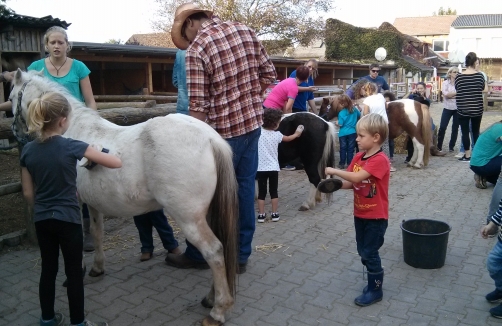 Kindergeburtstag mit der Ponybande