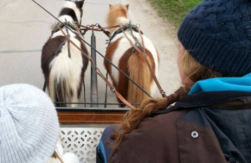 Kindergeburtstag mit der Ponybande