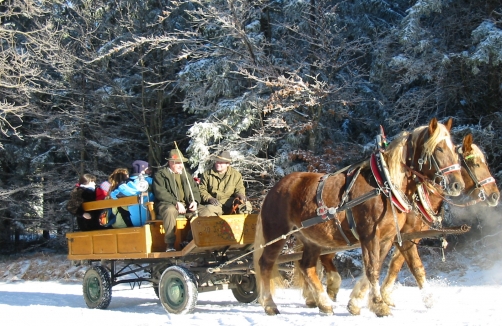 naturpark-hohewand.at