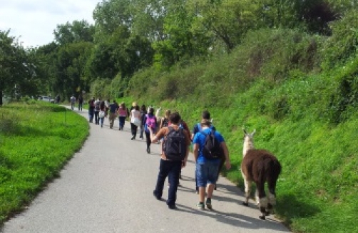 lama-wanderungen.at