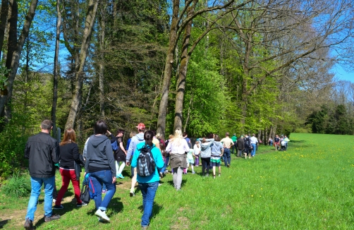 Wald Wissens Weg