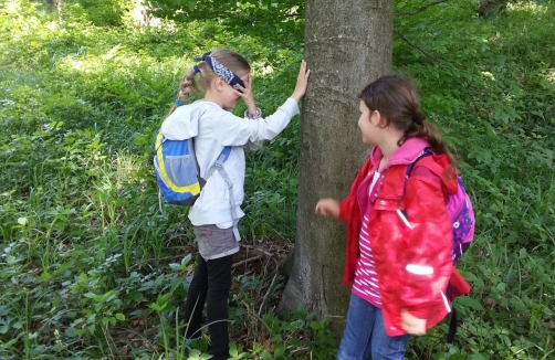 Mit allen Sinnen im Wald