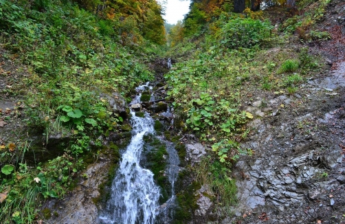 Auf den Spuren des Burgherren rund um die Burg Landskron