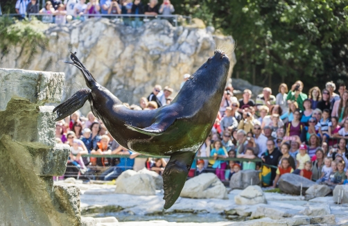 Zoo Vienna - Daniel Zupanc