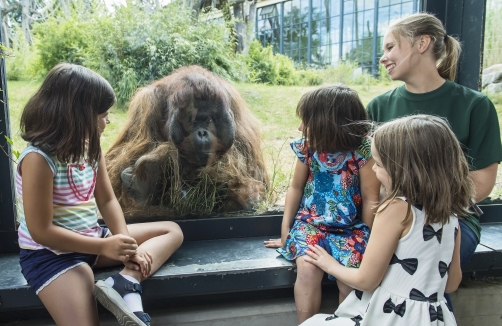 Familienführungen im Tiergarten Schönbrunn